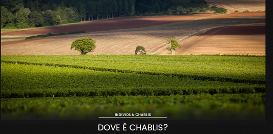 Una Nuova Pagina nella Storia di Chablis: Modifica dei Confini tra "Valmur" e "Les Clos"