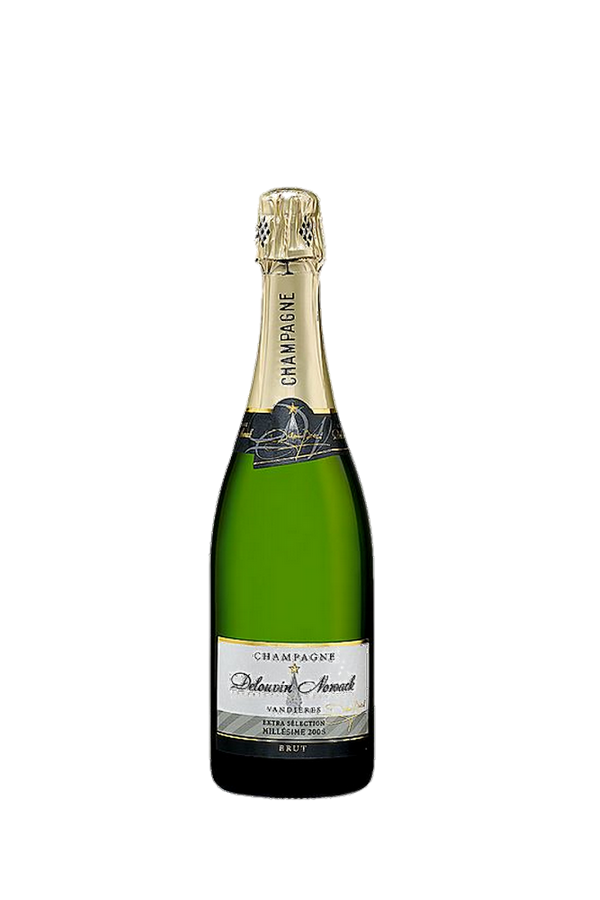Champagne Brut 2017 Delouvin-Nowack