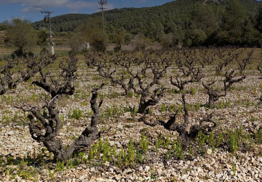 AVENC DEL GARRAF