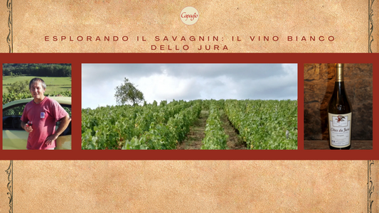 Esplorando il Savagnin: Il Vino Bianco dello Jura e il Fascino del Domaine Les Sarmentelles