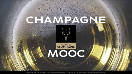 Diventa un Esperto di Champagne con il MOOC di Champagne!